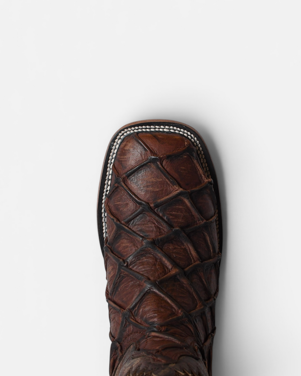 Bota Toro Moro Caballero Grabado Pescado Cafe